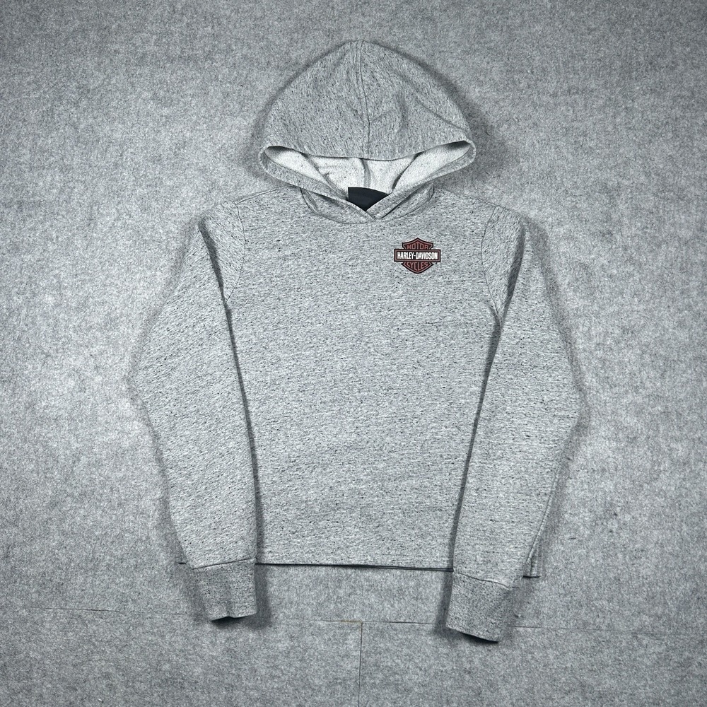 Vintage 2000s Harley Davidson Pullover Hoodie Men's Size Small Grey Cropped y2k